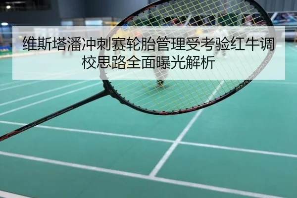 维斯塔潘冲刺赛轮胎管理受考验红牛调校思路全面曝光解析